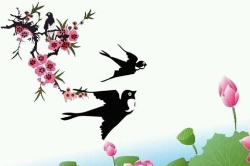 为什么燕子筑巢有的浅有的特别好 (这几年燕子总是往家里住啥原因)