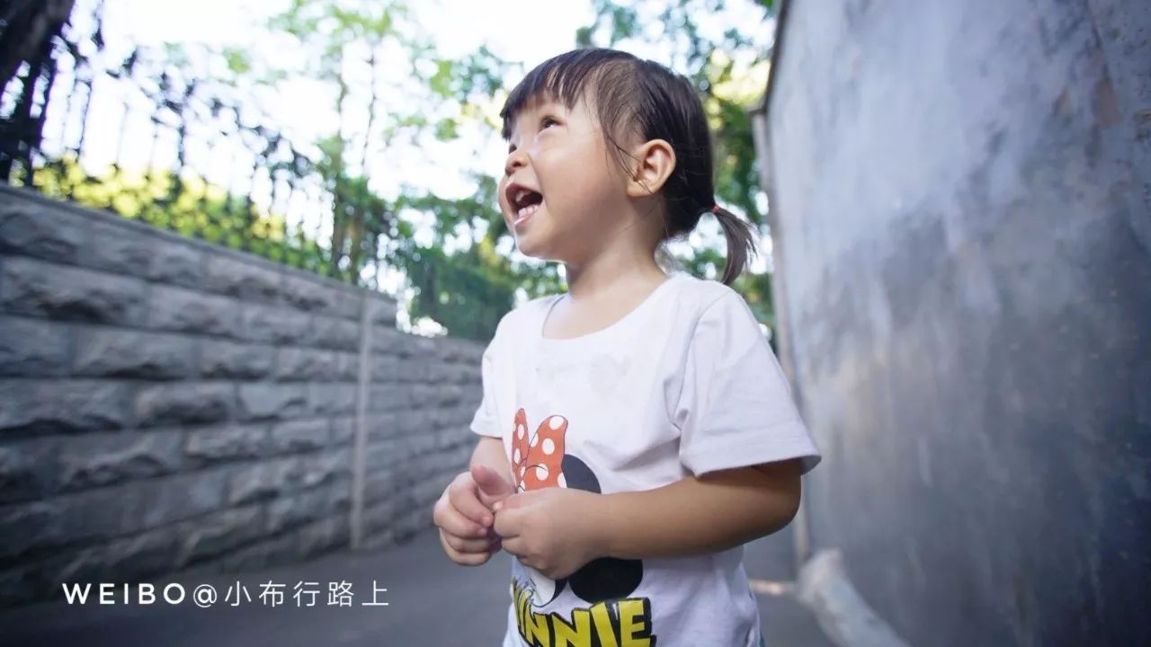 金砖会议厦门旅游影响,金砖会议厦门是哪一年