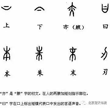 常天书院干货分享-汉字六书