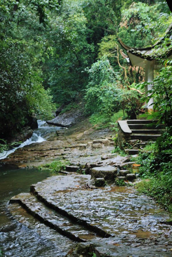 横县茉莉花之乡中华茉莉园,欢迎来到广西横县茉莉花之乡