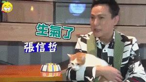 张信哲捡破烂开飞机,张信哲养的宠物