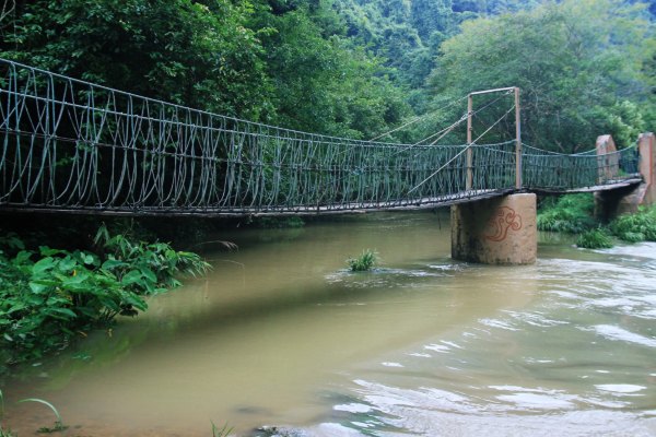 横县茉莉花之乡中华茉莉园,欢迎来到广西横县茉莉花之乡