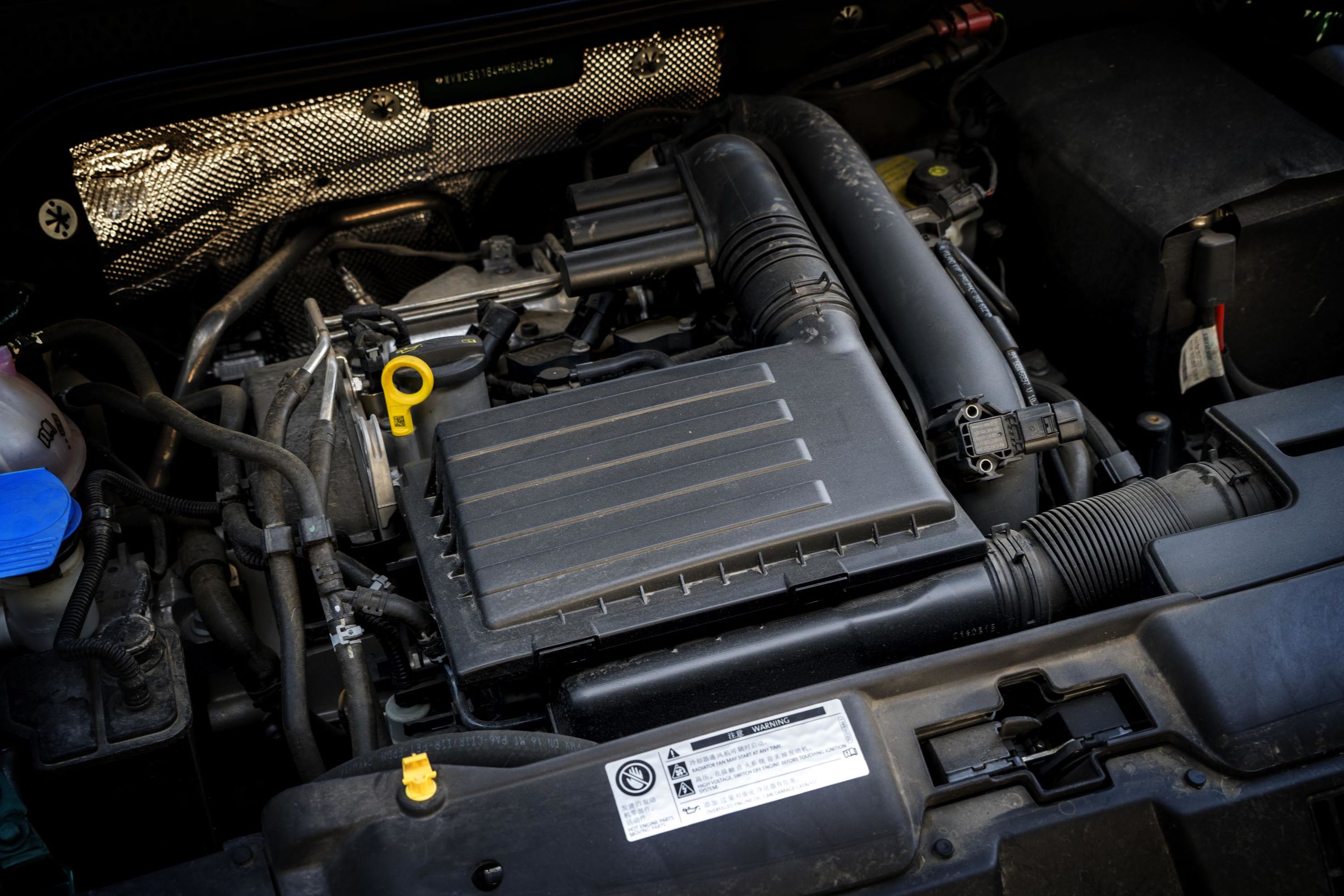 秋日里的竹璃绿｜大众甲壳虫