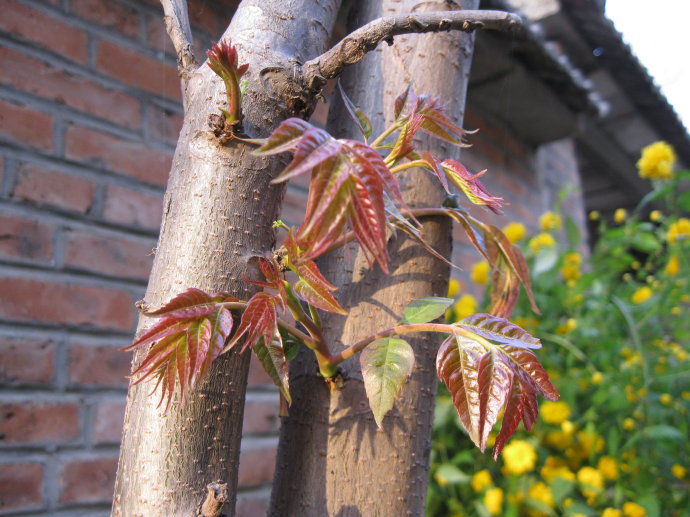 中国文化丨人生就是个命呀，你知道你是什么命吗？