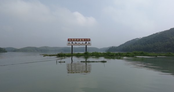 横县茉莉花之乡中华茉莉园,欢迎来到广西横县茉莉花之乡