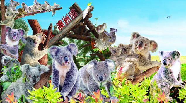 “1分钟”变身地导，乐享广州增城