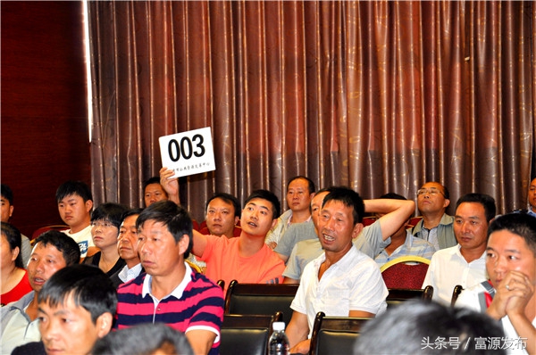 富源公车拍卖点,富源公车拍卖信息