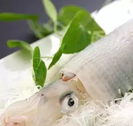 福冈最好的居住街区,福冈的城市介绍