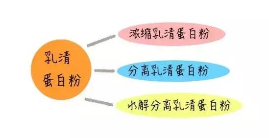 给我一桶蛋*粉白**我也能练出来！——老姜的补剂课堂之蛋*粉白**篇