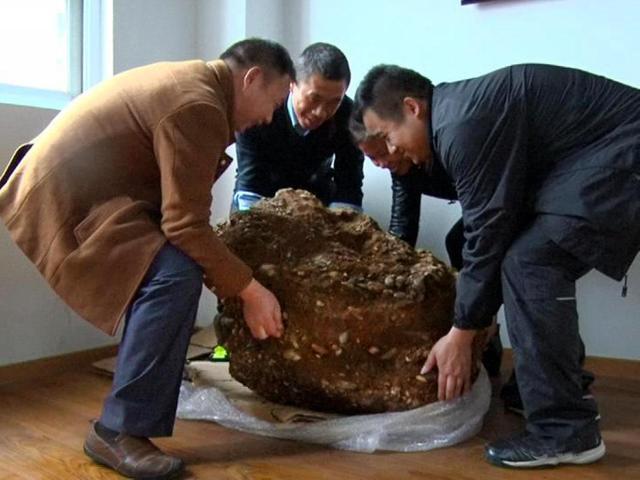 村民挖出亿年怪石,挖出千年巨石洞的视频