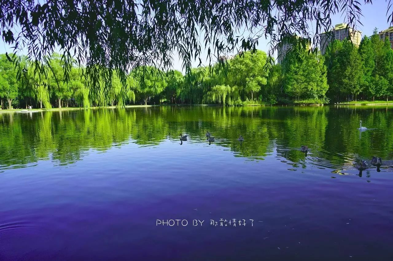 北京汤泉度假酒店排名,京城度假酒店