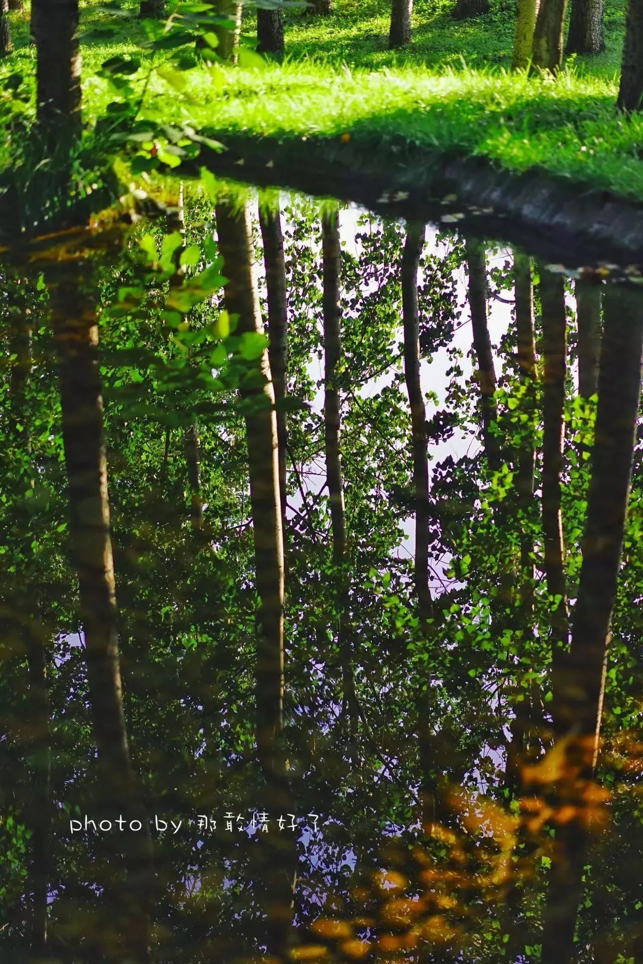 北京汤泉度假酒店排名,京城度假酒店