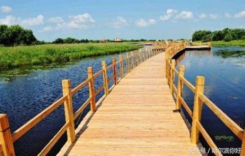 5月19号黑龙江有哪些景区免门票,黑龙江旅游日免门票景区