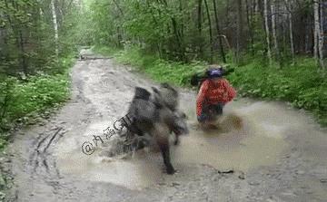 汽车贷款买车行业内幕,为什么那么多人有车贷房贷