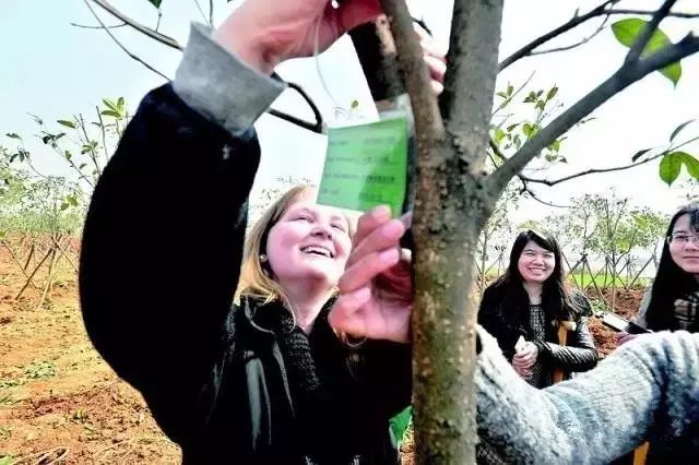 蔡甸为什么不发展老城区,蔡甸近10年有哪些变化