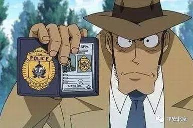 国际刑警组织是一个怎样的存在,国际刑警警察组织是什么组织