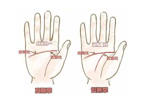 手相断纹掌怎么看,断掌纹命硬寿短是什么意思