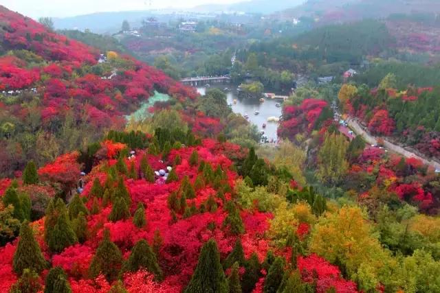 济南有露台的房子,济南恒大帝景空中别墅