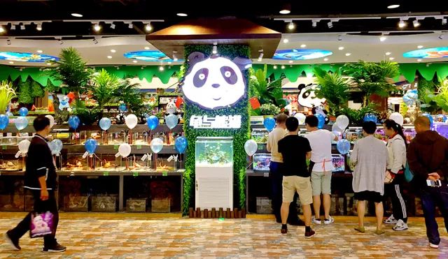 目测这7个地方要火!全国的帅哥美女都往这里跑……