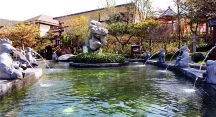 大连性价比较高的温泉,大连温泉哪家好又便宜