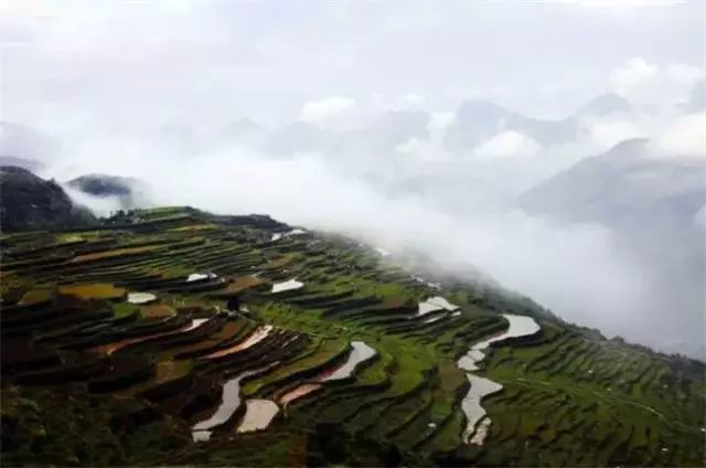 风吹稻浪黄金灿原创,风吹稻田金灿灿原文