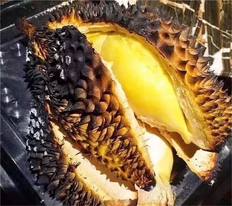 榴莲有多恐怖,原来榴莲还可以烤着吃涨见识