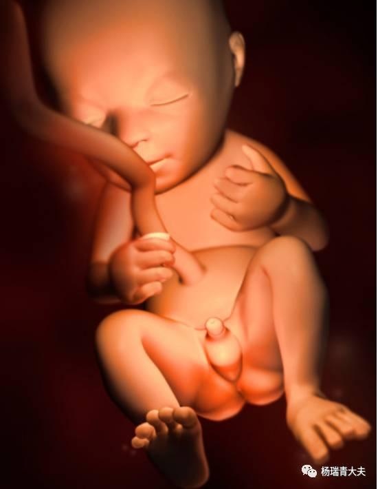 惊艳震撼的5d电影,超逼真的5d电影