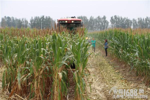 用户和玉米收获机的精神恋爱，良缘还是虐缘请看现场直播