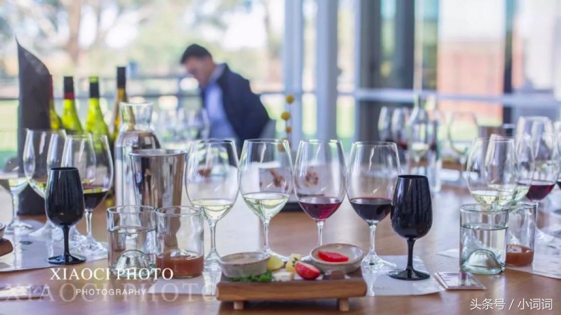 玩转南澳大利亚，这篇最全旅行攻略一定可以帮到你