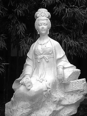 薛涛才华系列,薛涛柳絮鉴赏