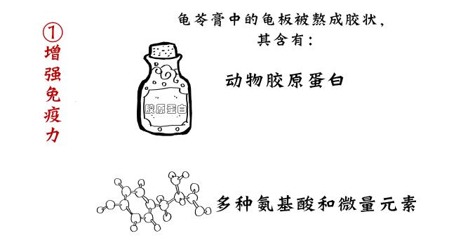 正宗的龟苓膏是用什么龟,龟苓膏上真的有龟吗