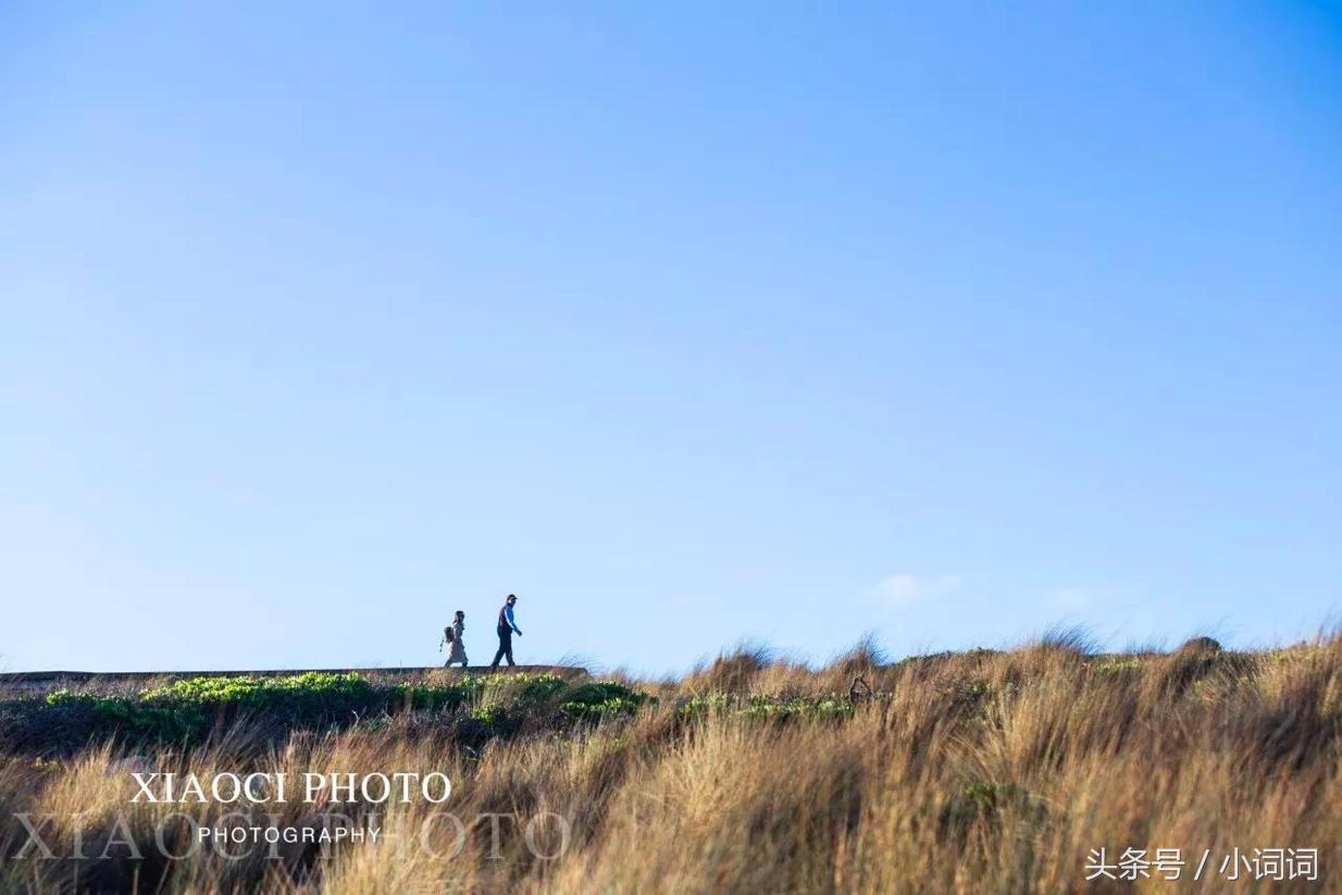 玩转南澳大利亚，这篇最全旅行攻略一定可以帮到你