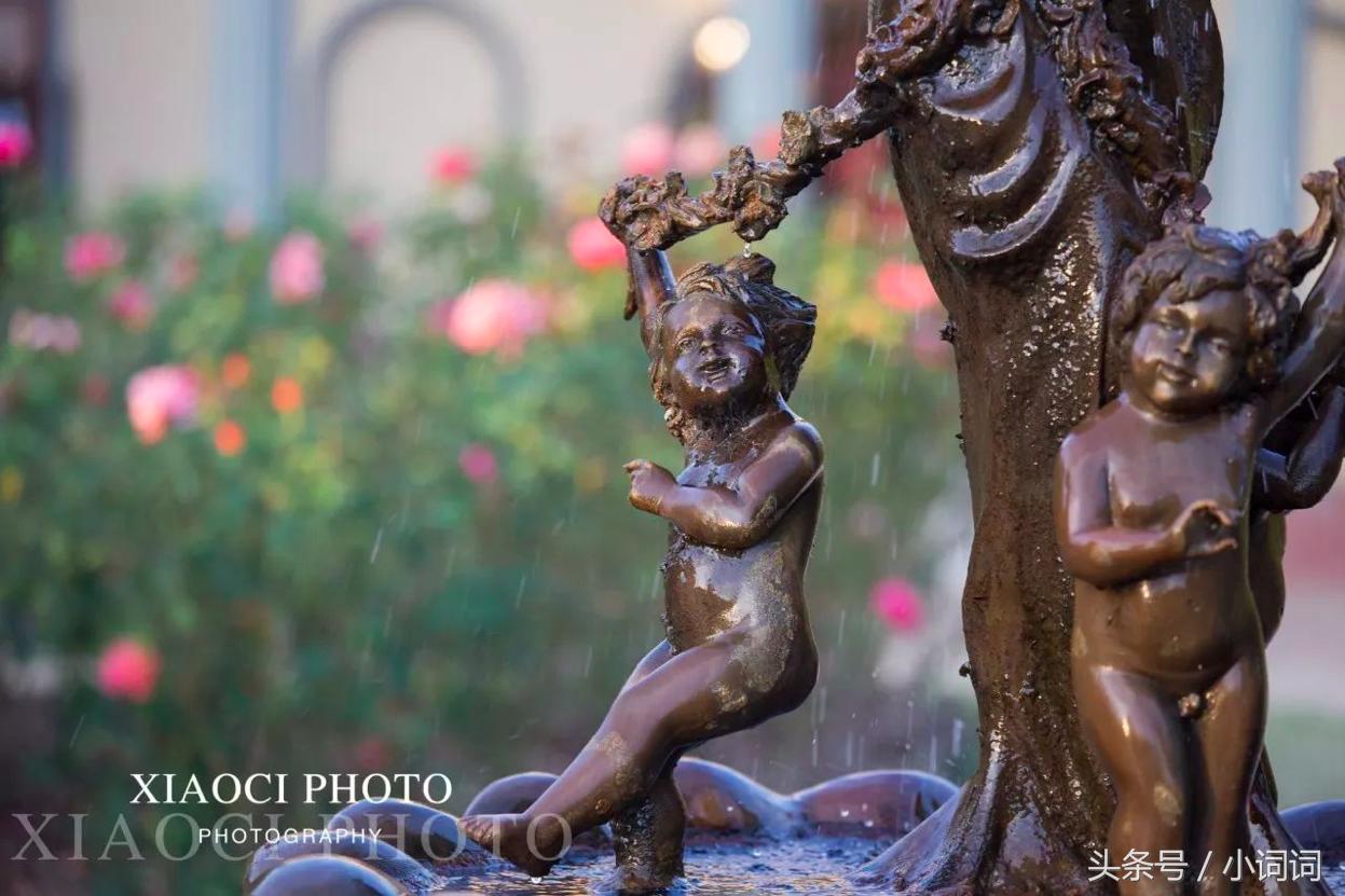 玩转南澳大利亚，这篇最全旅行攻略一定可以帮到你