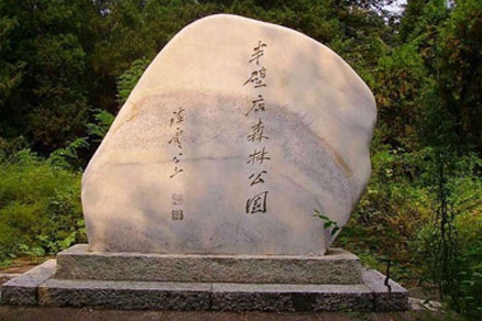 北京不容错过的赏花路线,北京香山红叶林观看最佳时间