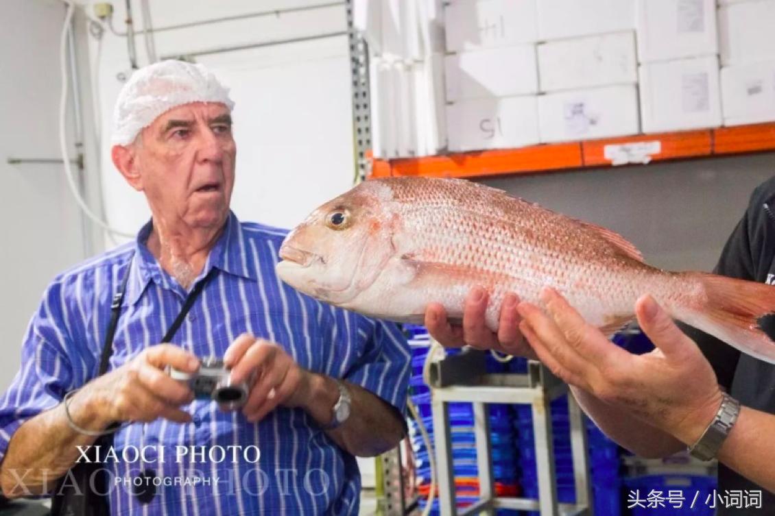 玩转南澳大利亚，这篇最全旅行攻略一定可以帮到你