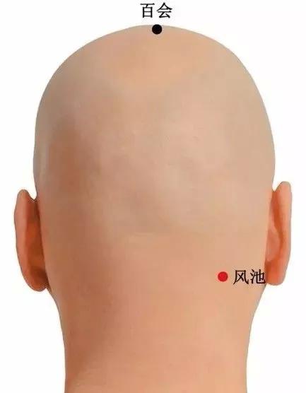 20个对身体有效黄金穴位,人体十大养生穴位