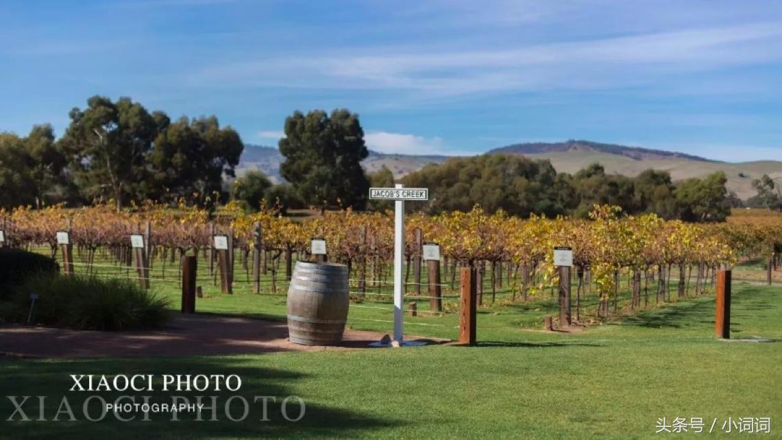 玩转南澳大利亚，这篇最全旅行攻略一定可以帮到你