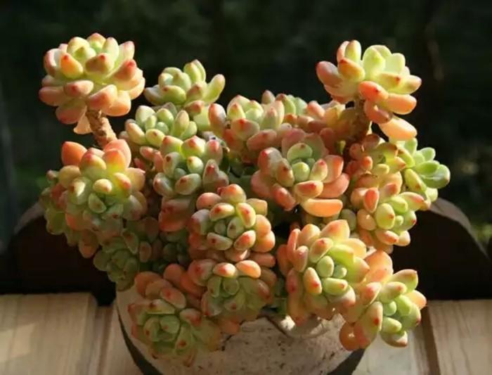 识别标签贴,劳尔和罗琦对决