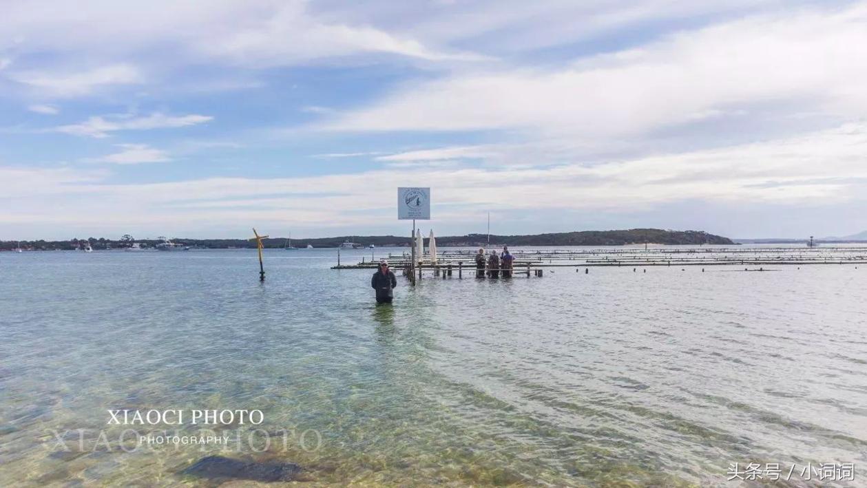 玩转南澳大利亚，这篇最全旅行攻略一定可以帮到你