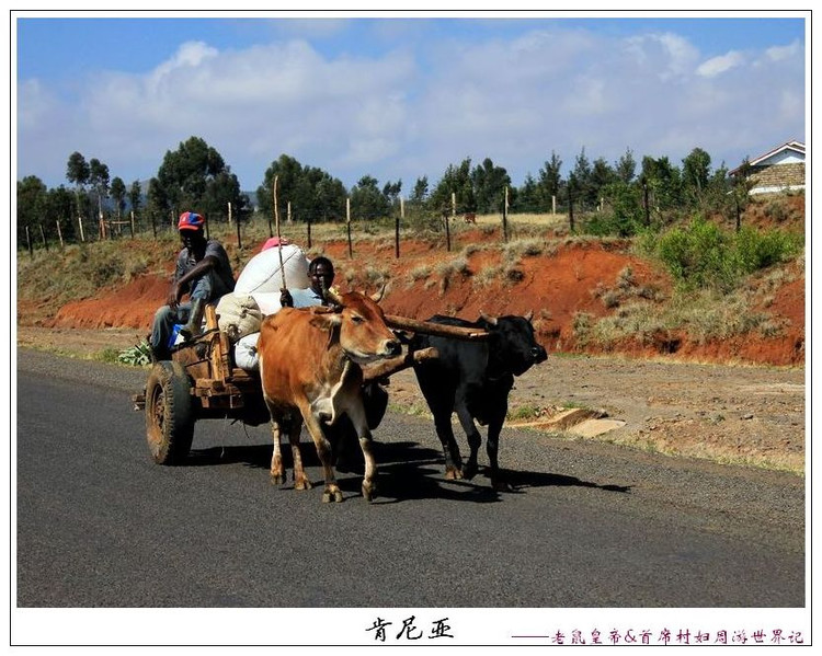 在这地方，“痞气痞气”“拨打拨打”“土客土客”的意思很有趣