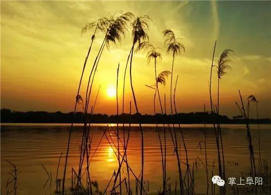 今天终于知道，阜阳的小名为什么叫“牛逼”了！