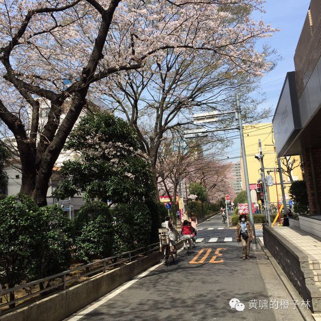 爆品和便宜有什么区别,爆品和爆款的区别