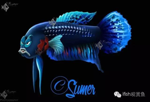 鱼可爱卡通画,鱼卡通可爱