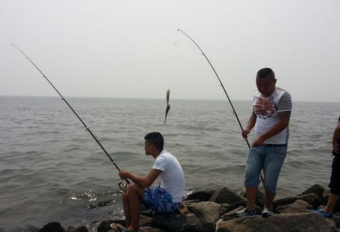 渤海湾有哪些海钓平台,渤海最干净的沙滩