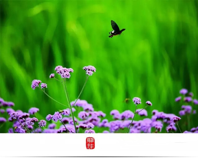 云南临沧美景图片,云南临沧旅行风景