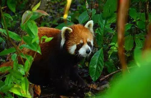 堵在路上别着急,堵在高速上不要慌