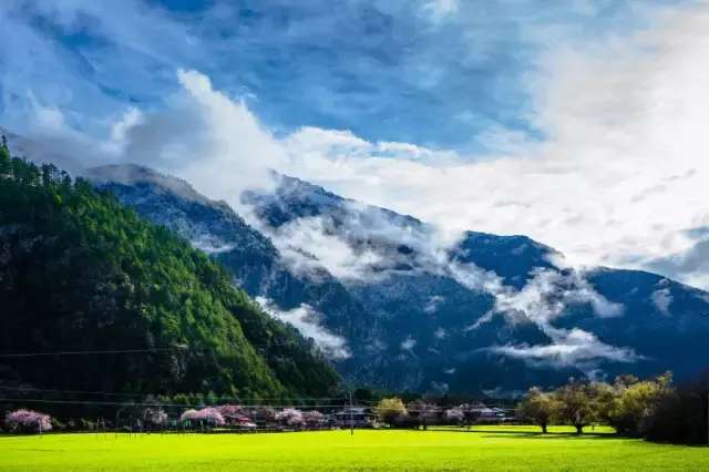 一封来自*藏西**的辞职信