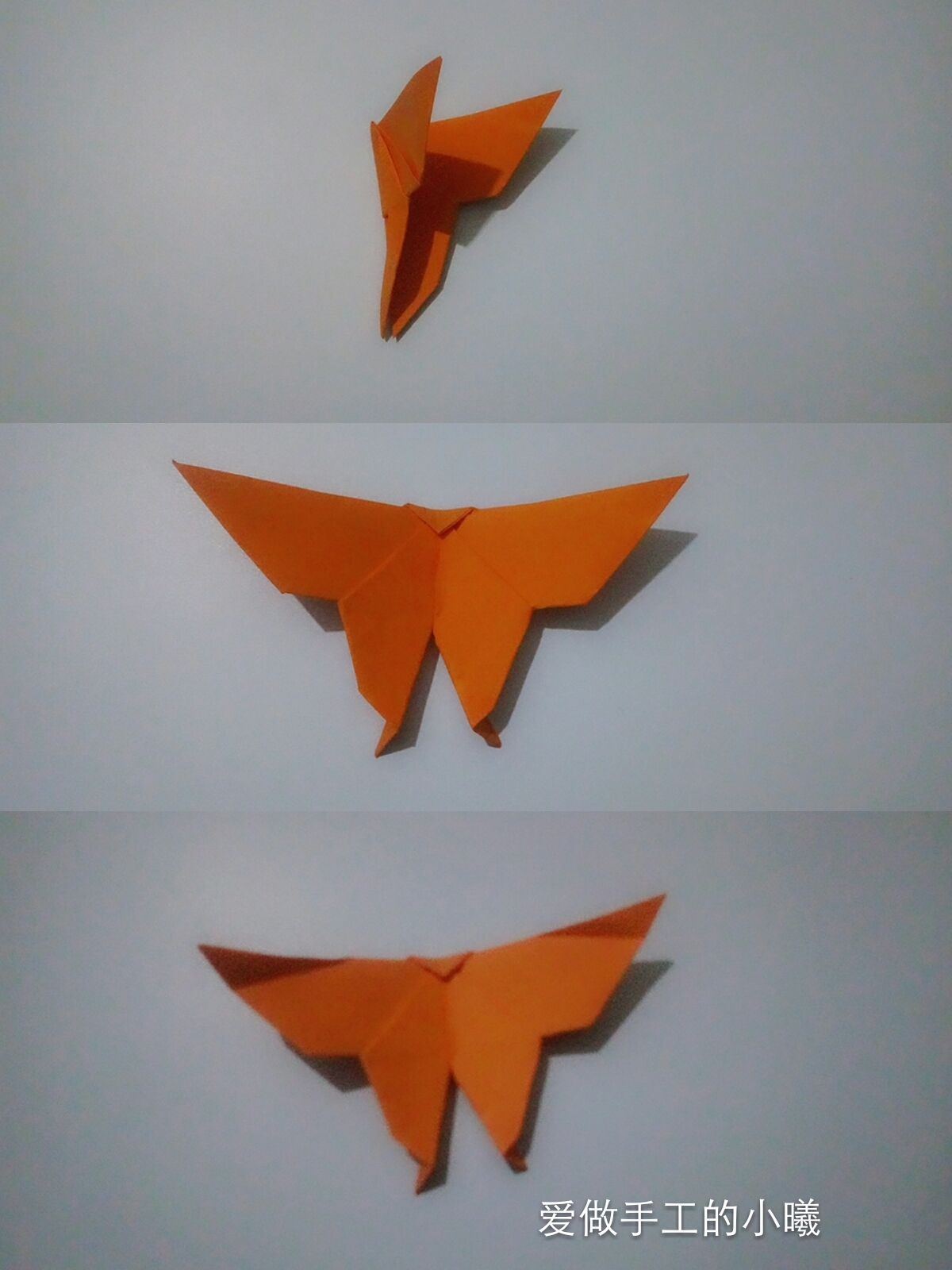 折纸蝴蝶折纸小鸡,折纸王子折纸蝴蝶