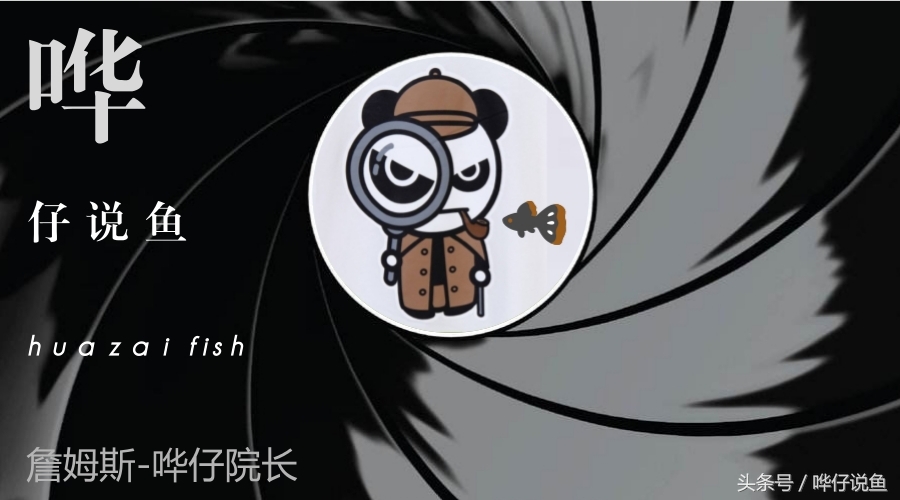 多少男人拜倒石榴裙下,多少男士拜倒在你的石榴裙