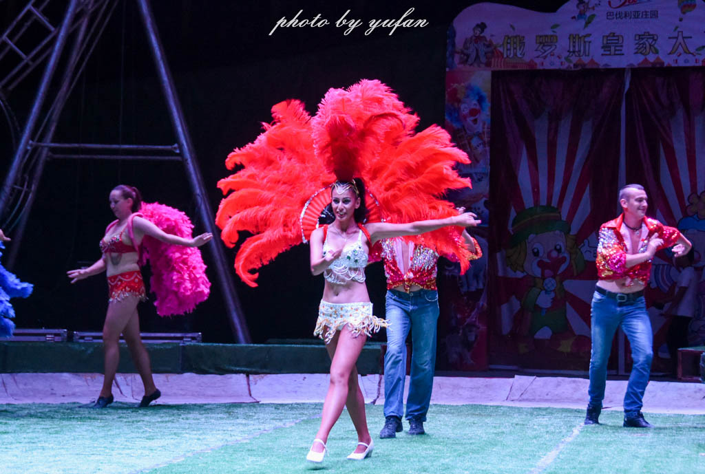 皇家大马戏巴伐利亚,广东哪里有大马戏